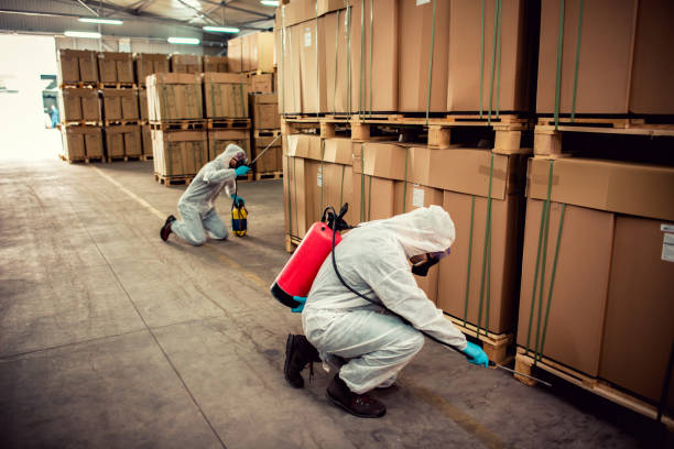 Best Pest Prevention Services  in Minersville, PA