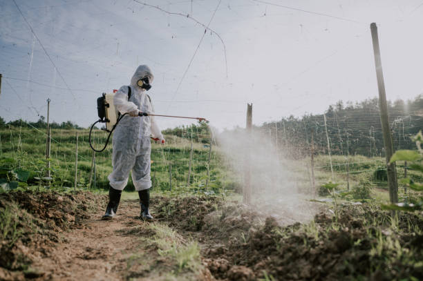 Best Wasp Removal Services  in Minersville, PA