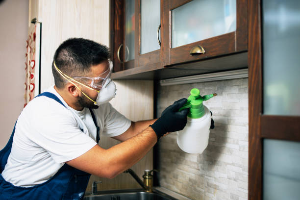 Best Mosquito Control Services  in Minersville, PA
