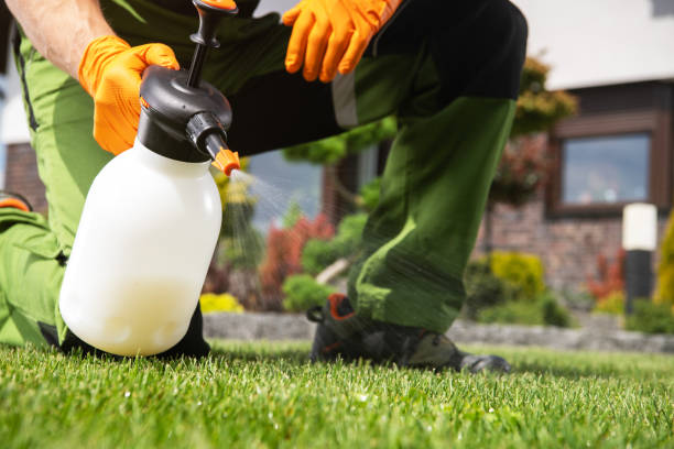 Best Termite Control Services  in Minersville, PA