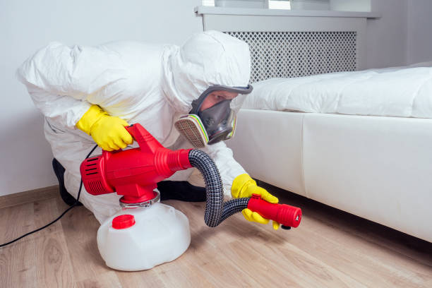 Best Bed Bug Extermination  in Minersville, PA