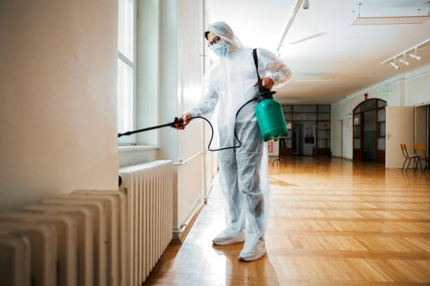 Best Affordable Pest Control Services  in Minersville, PA