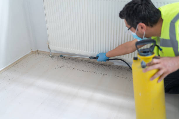 Best Pest Inspection Near Me  in Minersville, PA
