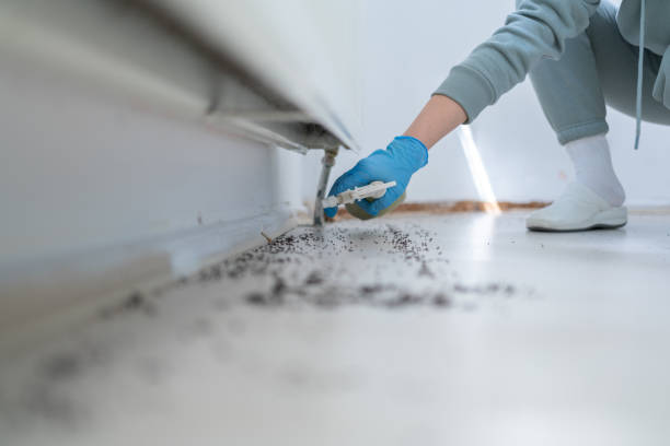 Wildlife Control Services in Minersville, PA