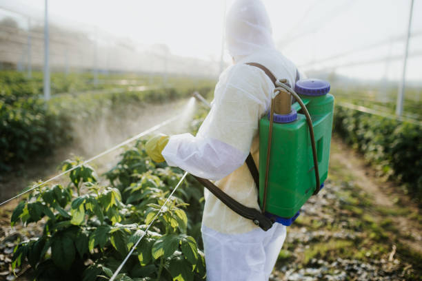Best Commercial Pest Control Services  in Minersville, PA